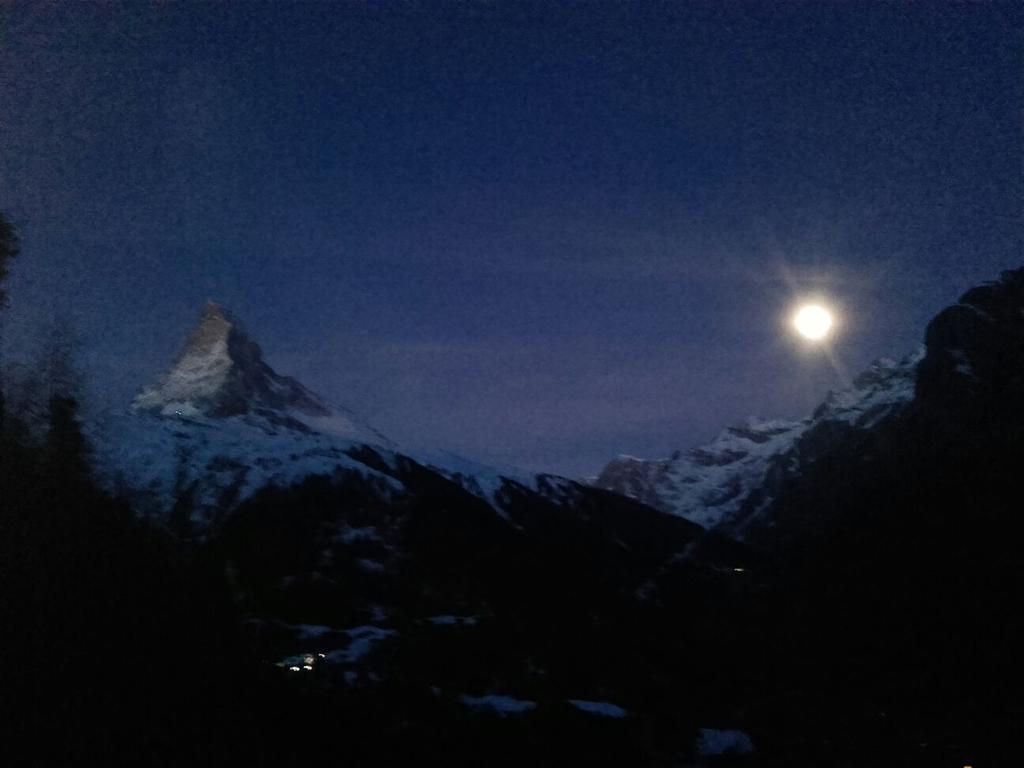 Apartment Haus Fleckstein Karibu Zermatt